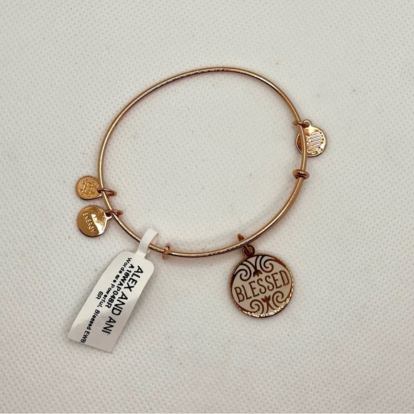 Alex and Ani Gold 'Blessed' Charm Bracelet - Picture 4 of 4